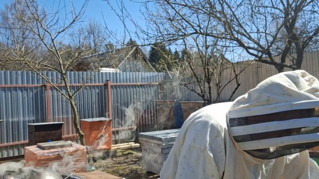 Удалось ли спасти матку и горсть пчёл? смотреть онлайн