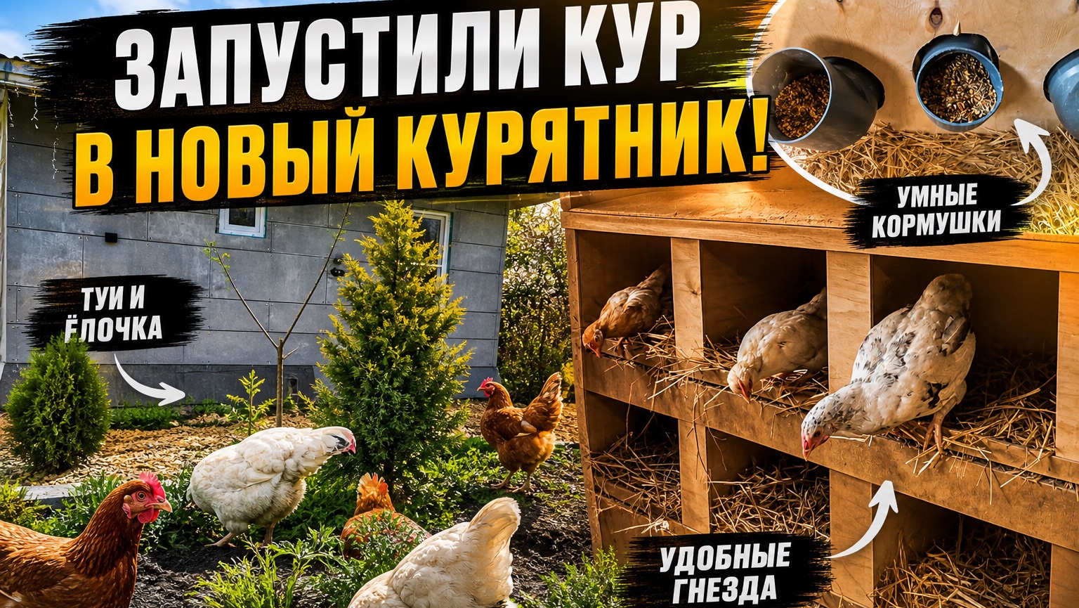 #57 УМНЫЙ КУРЯТНИК СВОИМИ РУКАМИ.КОРМУШКИ И ОБУСТРОЙСТВО