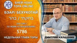 «Бэар» и «Бехукотай» 5786/2026. Недельные главы Торы - Парашат а-шавуа | Дмитрий Калашник