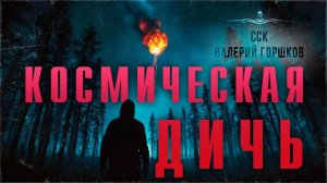 Лесник увидел НЛО. Страшная история. КОСМИЧЕСКАЯ ДИЧЬ