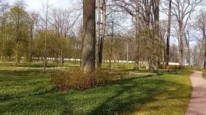 Парк Александрия. Зеленая зона и границы двух парков, разделены забором.