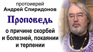 Проповедь о причине болезней и скорбей, покаянии и терпении (2026.05.03). Прот. Андрей Спиридонов