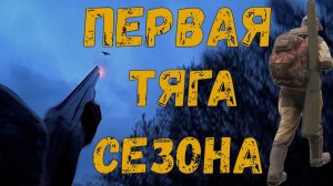 На вальдшнепиной тяге / Охота на вальдшнепа / Первая тяга сезона