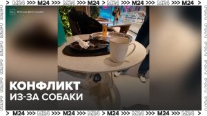 Конфликт произошел в кафе в Лефортове из-за собаки - Москва 24