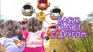 😸🎡БАСИК ГУЛЯЕТ С ДРУГОМ в парке🛝 #волшебныебудни