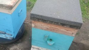 С первого мая у нас похолодание произвожу быстрый осмотр.
