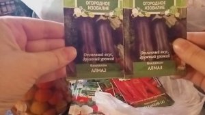 Семена на богатый урожай! Что посеять в огород, теплицу, квартиру, дом, окно, подоконник. Всем класс