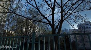 Гуляем во дворе, пахнет весной. Распускаются кустики и деревья, получаем адреналин. Шикарно.