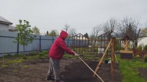 3 мая 2026 г. Грядка  под огурцы. Герантологи не врут (Андрей Фомин)