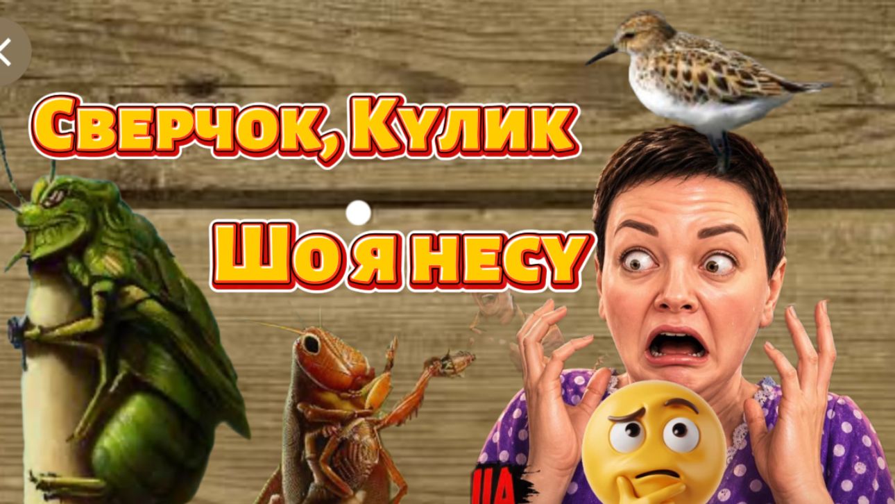 РжУнИмАгУ🤣 Куча грозит иностранными оргганизациями🤣Она грит: "каждый Кулик знай свой сверчок" 🤣🤣 смотреть онлайн