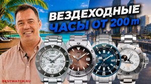 Дайверские часы для города и отпуска | Россия, Япония, Швейцария, Китай