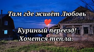 #124 Куриный переезд! Хочется тепла.