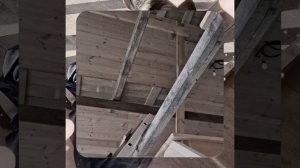 1000057490.mp4 (Собака наблюдает за устройством лестницы на 2-ой этаж в доме А-фрейм)