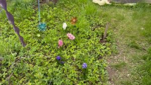 Сад мой растет и цветет ,  что как есть в саду посадки полным ходом