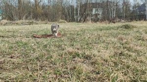 Небесная красота