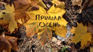 Заводная Птица. Пришла осень