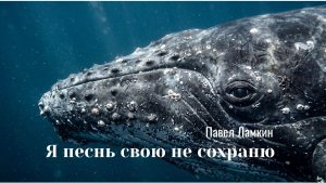 Я песнь свою не сохраню