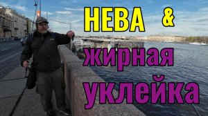 #мормышинг | Ловим жирную уклейку и не только |
