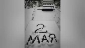 Ставрополь замело: май неожиданно решил, что он декабрь.

Портиться погода начала еще вчера днем, а
