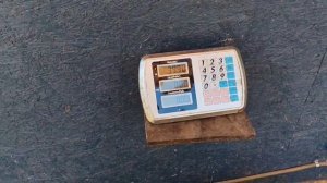 итоговый улов карпа