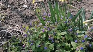 Знаки, которыми нельзя пренебречь.