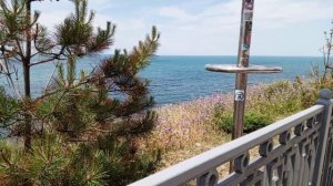 Лайфстайл лучших развлечений