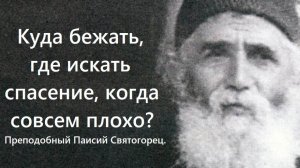 Куда бежать, где искать спасение, когда совсем плохо? Преподобный Паисий Святогорец.