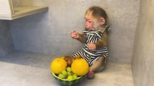 Farmer BiBi eats fruit so funny