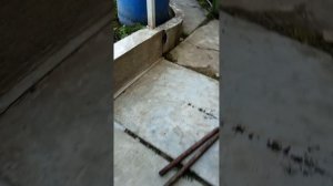 1 часть пол это лава