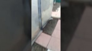 обзор  на улицу