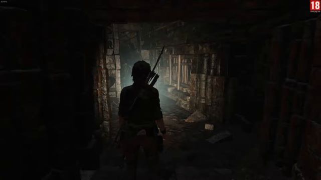 Shadow of the Tomb Raider №6