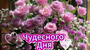 Добрый день: хорошего дня и пусть каждый день будет | Домохозяйка