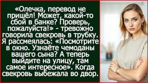 Истории из жизни|Олечка, перевод не прише|Аудио рассказы|Аудиокниги слушать онлайн|Жизненные истории