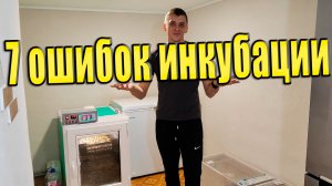 7 ошибок при инкубации, из-за которых вы теряете вывод