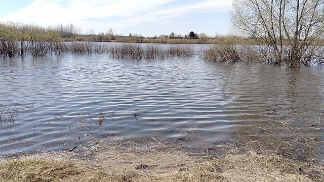 Вот так выглядит река Клязьма сейчас она вышла из берегов