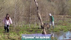 На даче. Майские праздники #надаче #батут #1мая #дача