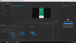 Как отделить видео от аудио в Premier Pro 2024