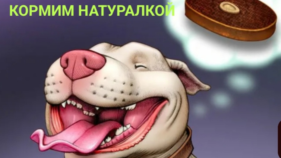 натуральное питание собак, даем печень
