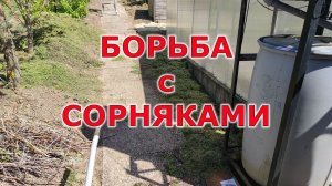 Новый метод борьбы с сорняками