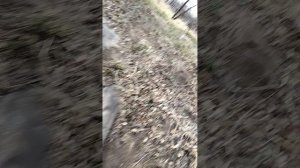 2 часть. от этого мужика.