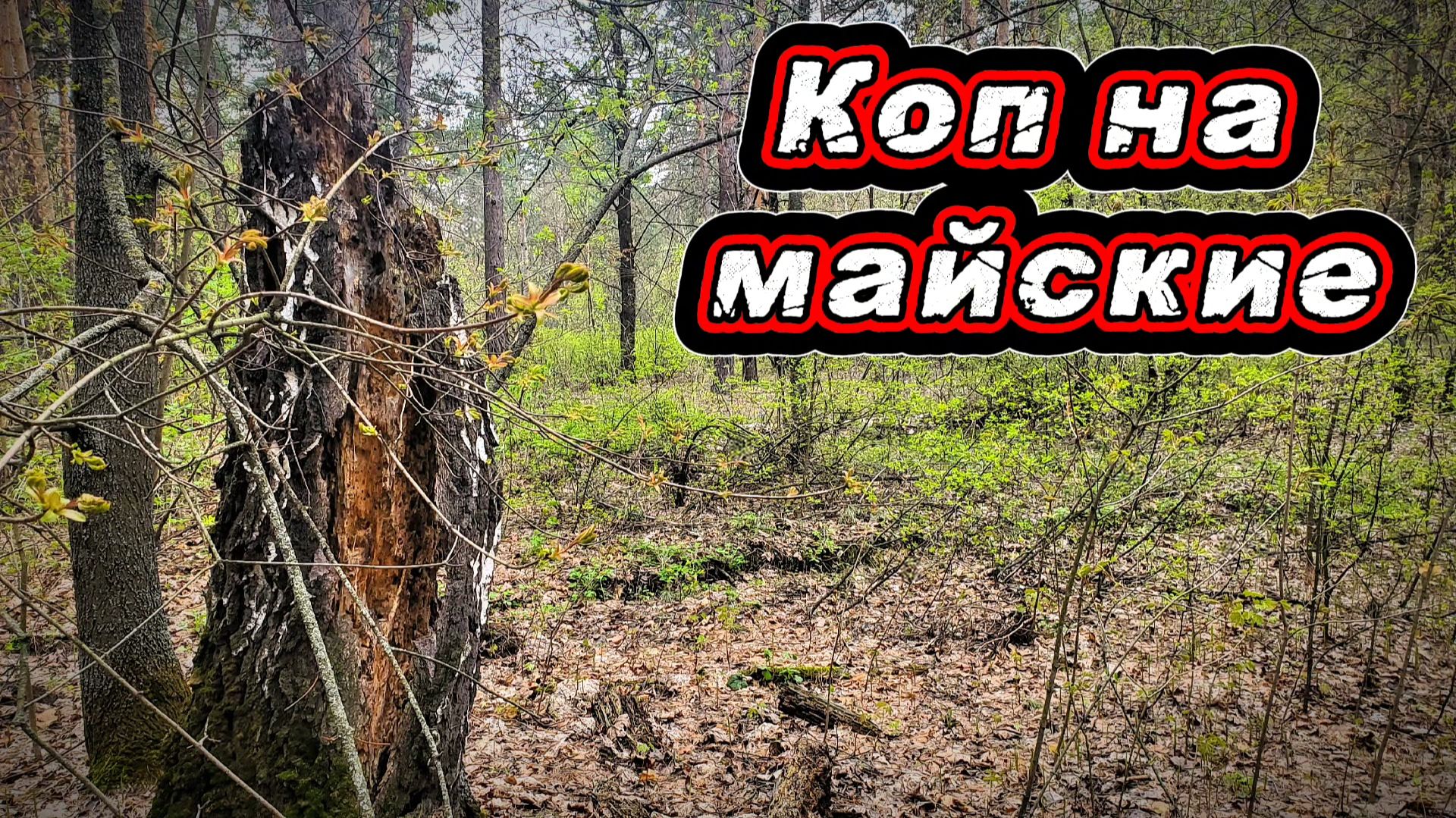 Копаю на майских праздниках.