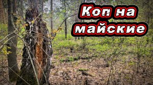 Копаю на майских праздниках.