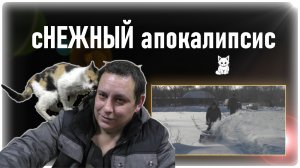 Такого снега не было уже давно!!