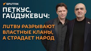 Петкус & Гайдукевич: Литву разрывают властные кланы, а страдает народ