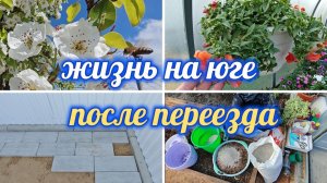 ЖИЗНЬ НА ЮГЕ ПОСЛЕ ПЕРЕЕЗДА, ПОЧТИ ВСЁ ПРОДАЛА, УКЛАДЫВАЕМ ТРОТУАРНУЮ ПЛИТКУ
