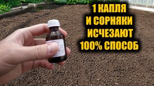 Сорняки исчезнут за 1 минуту навсегда! Простой и безопасный способ из ссср