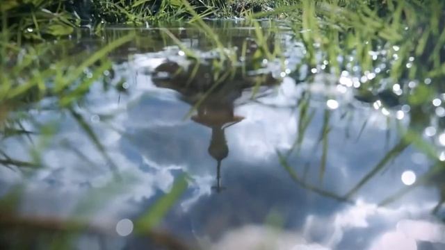 Шепчутся липы у храма о Боге (сл. С. Трутня, муз. Л. Евсеевой) (720p)