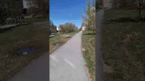 на прогулке
