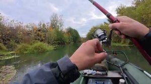 Рыбалка на большой и маленький поплавок. Осенняя рыбалка на реке на удочку.