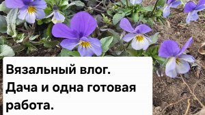 Вязальный влог.  Дача и одна готовая работа.